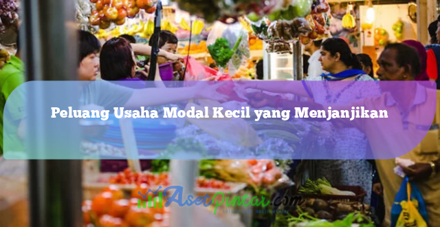 Peluang Usaha Modal Kecil yang Menjanjikan