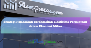 Strategi Pemasaran Berdasarkan Elastisitas Permintaan dalam Ekonomi Mikro