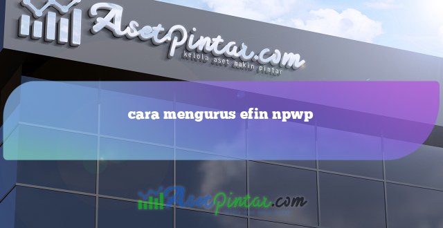 cara mengurus efin npwp