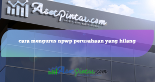 cara mengurus npwp perusahaan yang hilang