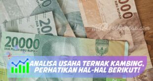 ANALISA USAHA TERNAK KAMBING, PERHATIKAN HAL-HAL BERIKUT!