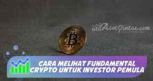 CARA MELIHAT FUNDAMENTAL CRYPTO UNTUK INVESTOR PEMULA