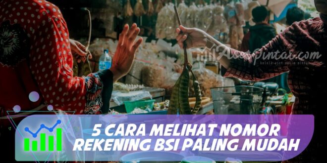 5 CARA MELIHAT NOMOR REKENING BSI PALING MUDAH