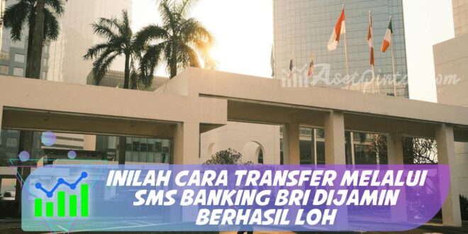 INILAH CARA TRANSFER MELALUI SMS BANKING BRI DIJAMIN BERHASIL LOH