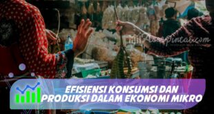 EFISIENSI KONSUMSI DAN PRODUKSI DALAM EKONOMI MIKRO