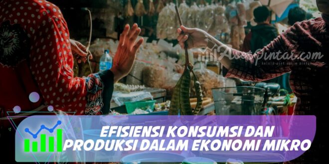 EFISIENSI KONSUMSI DAN PRODUKSI DALAM EKONOMI MIKRO