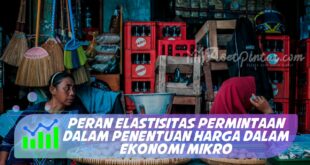 PERAN ELASTISITAS PERMINTAAN DALAM PENENTUAN HARGA DALAM EKONOMI MIKRO