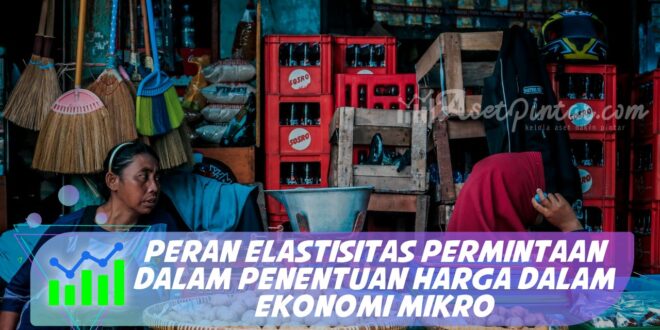 PERAN ELASTISITAS PERMINTAAN DALAM PENENTUAN HARGA DALAM EKONOMI MIKRO