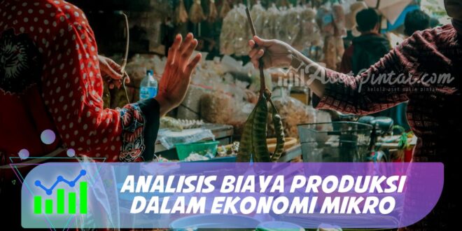 ANALISIS BIAYA PRODUKSI DALAM EKONOMI MIKRO