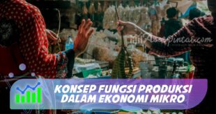 KONSEP FUNGSI PRODUKSI DALAM EKONOMI MIKRO