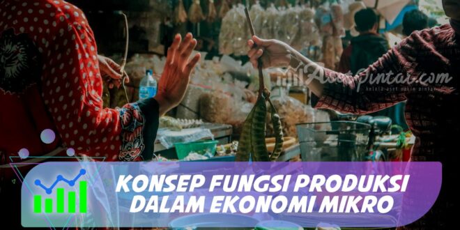 KONSEP FUNGSI PRODUKSI DALAM EKONOMI MIKRO