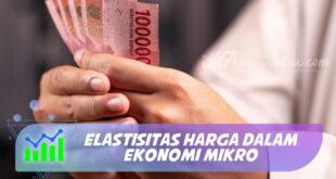 ELASTISITAS HARGA DALAM EKONOMI MIKRO