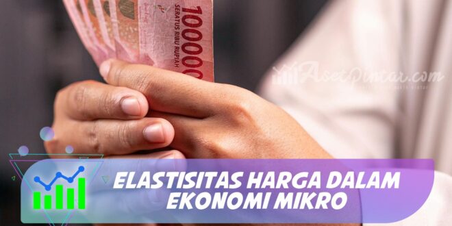 ELASTISITAS HARGA DALAM EKONOMI MIKRO