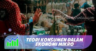 TEORI KONSUMEN DALAM EKONOMI MIKRO