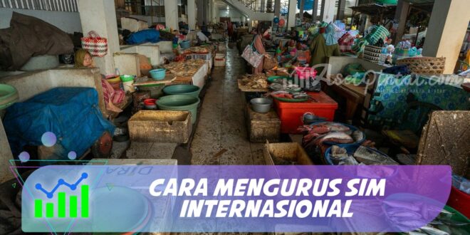 CARA MENGURUS SIM INTERNASIONAL