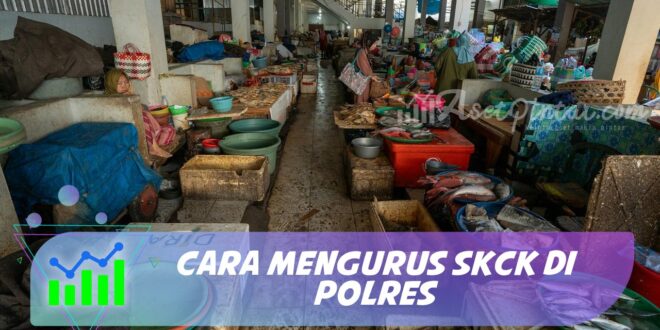 CARA MENGURUS SKCK DI POLRES