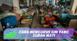 CARA MENGURUS SIM YANG SUDAH MATI