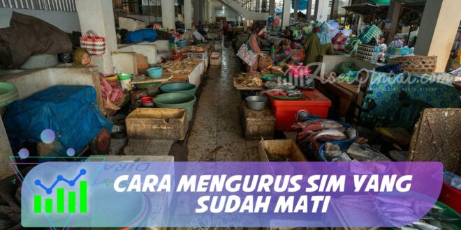 CARA MENGURUS SIM YANG SUDAH MATI
