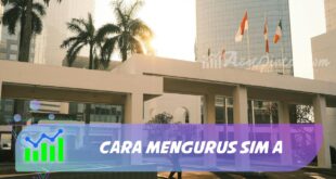 CARA MENGURUS SIM A