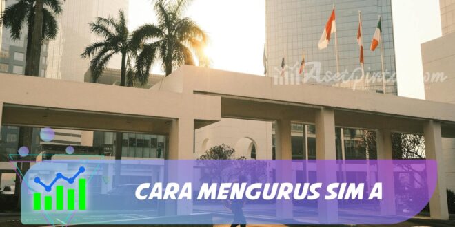 CARA MENGURUS SIM A