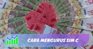 CARA MENGURUS SIM C