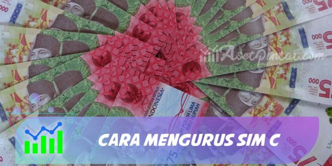 CARA MENGURUS SIM C