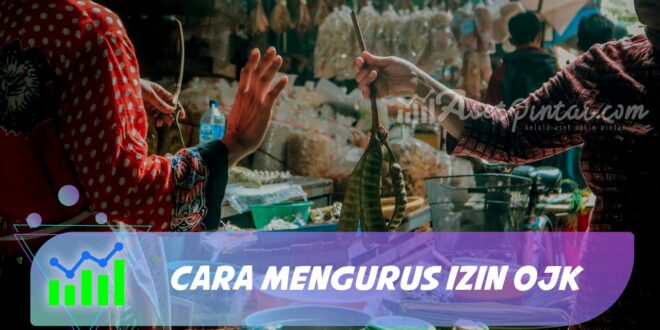 CARA MENGURUS IZIN OJK