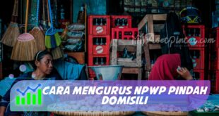 CARA MENGURUS NPWP PINDAH DOMISILI