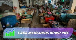 CARA MENGURUS NPWP PNS