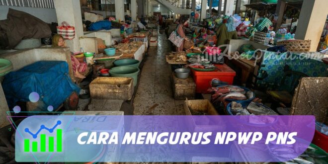 CARA MENGURUS NPWP PNS