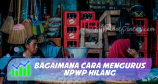 BAGAIMANA CARA MENGURUS NPWP HILANG