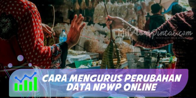 CARA MENGURUS PERUBAHAN DATA NPWP ONLINE