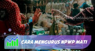 CARA MENGURUS NPWP MATI