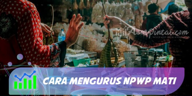 CARA MENGURUS NPWP MATI
