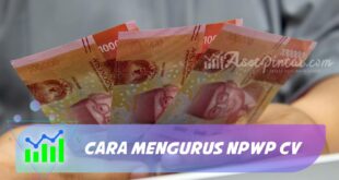 CARA MENGURUS NPWP CV