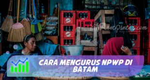 CARA MENGURUS NPWP DI BATAM