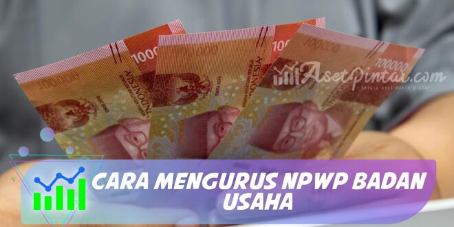 CARA MENGURUS NPWP BADAN USAHA