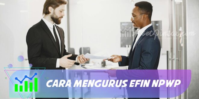 CARA MENGURUS EFIN NPWP