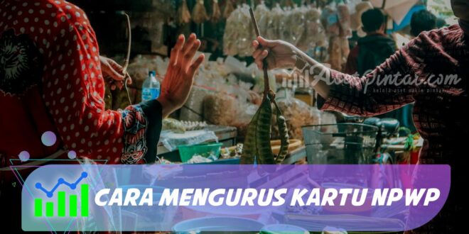 CARA MENGURUS KARTU NPWP