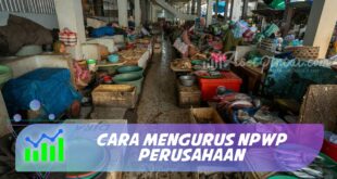 CARA MENGURUS NPWP PERUSAHAAN
