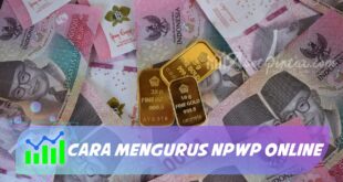 CARA MENGURUS NPWP ONLINE