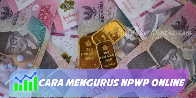CARA MENGURUS NPWP ONLINE