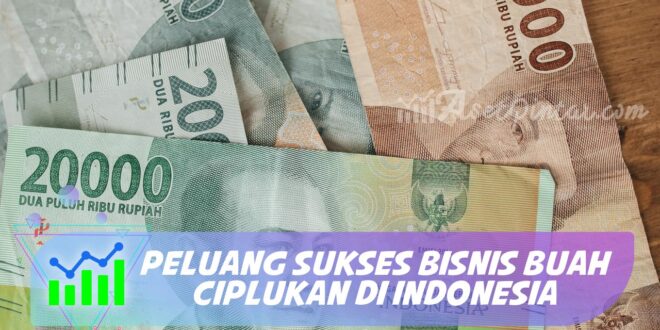 PELUANG SUKSES BISNIS BUAH CIPLUKAN DI INDONESIA