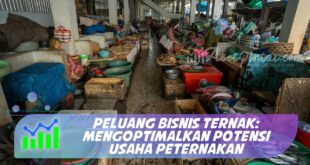 PELUANG BISNIS TERNAK: MENGOPTIMALKAN POTENSI USAHA PETERNAKAN
