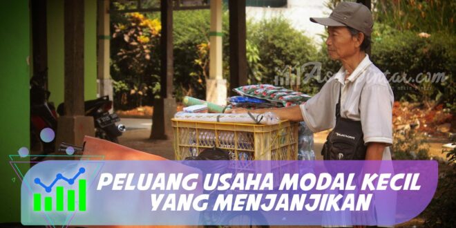 PELUANG USAHA MODAL KECIL YANG MENJANJIKAN