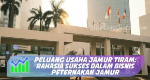 PELUANG USAHA JAMUR TIRAM: RAHASIA SUKSES DALAM BISNIS PETERNAKAN JAMUR