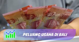 PELUANG USAHA DI BALI