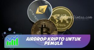 AIRDROP KRIPTO UNTUK PEMULA