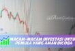 MACAM-MACAM INVESTASI UNTUK PEMULA YANG AMAN DICOBA