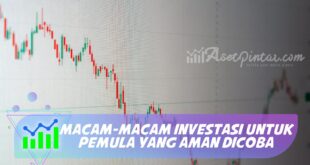 MACAM-MACAM INVESTASI UNTUK PEMULA YANG AMAN DICOBA